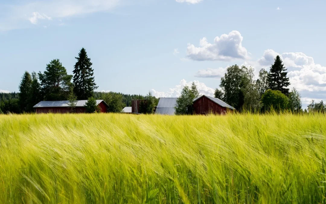 Det skal du være opmærksom på inden du køber en landbrugsejendom